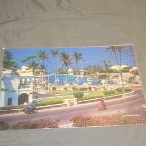 Tropical Island Poster with Palm Trees